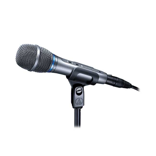 AE5400 心形指向性電容型麥克風