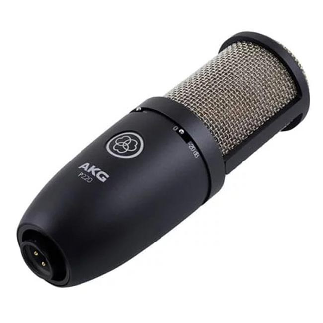 P220 高品質大振膜電容式麥克風